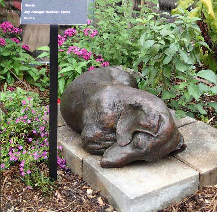 Siesta SS life-size bronze Dachshund sculpture by Joy Beckner