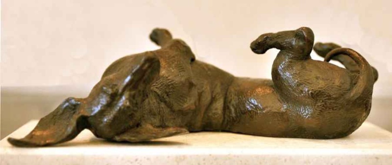 "A Good Life" tickles fancies in Norway. "A Good Life" tickles fancies in Norway.