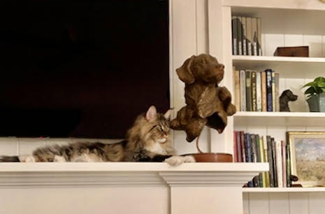 “Three Faces of Guinevere” has a friend in Michigan. “Three Faces of Guinevere” has a friend in Michigan.