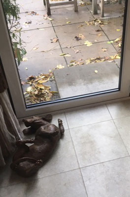 "A Good Life, MW"
Merrily plays in England A Good Life, MW Merrily plays in England