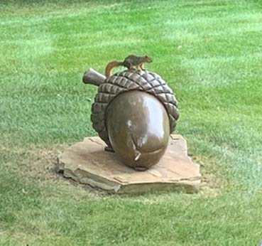 "Thank you, John, for sharing your 'Squirrel’s Dream’." "Thank you, John, for sharing your 'Squirrel’s Dream’."