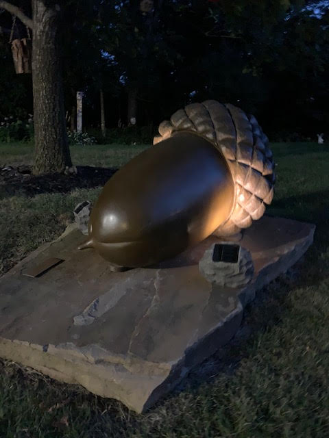 "A Squirrel's Dream" At home at night in Iowa. Thank you, John! "A Squirrel's Dream" At home at night in Iowa. Thank you, John!