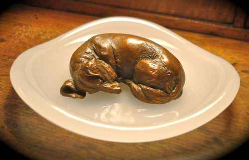 Dreaming in Mayfield Heights, OH - "Dreaming of Tomatoes", Long 1:6 Dreaming in Mayfield Heights, OH - "Dreaming of Tomatoes", Long 1:6