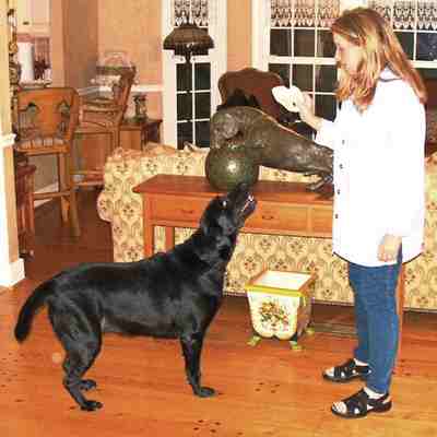 Life’s a Ball in Virginia! "Life's a Ball", SS Life’s a Ball in Virginia! "Life's a Ball", SS