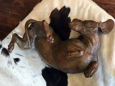 "Miss Me”
Enjoys her home in LaJolla, California. "Miss Me” Enjoys her home in LaJolla, California.