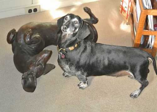 Willi gets to know Edgar in bronze. NYC - "Sunnyside Up", SS Willi gets to know Edgar in bronze. NYC - "Sunnyside Up", SS