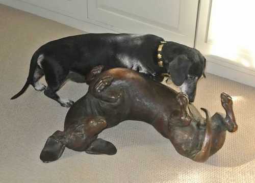 Willi gets to know Edgar in bronze. NYC - "Sunnyside Up", SS Willi gets to know Edgar in bronze. NYC - "Sunnyside Up", SS