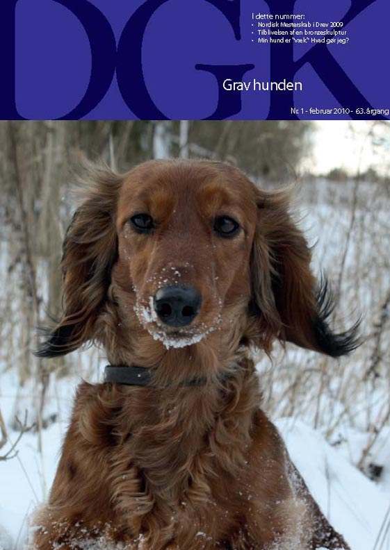 DGK Gravhunden - The Danish Dachshund Club Magazine, "Clay to Collector" Joy Beckner article