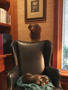 "Over the Rainbow” & “Siesta” MS
in the home of Joy "Over the Rainbow” and “Siesta” MS in the home of Joy