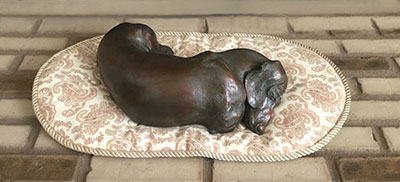 "Siesta, MS" Keeps warm in Duluth, MN Siesta, MS Keeps warm in Duluth, MN