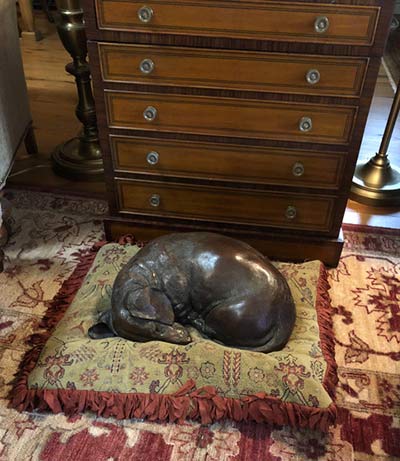 "Dreaming of Tomatoes" MS
snoozes in Florida "Dreaming of Tomatoes" MS snoozes in Florida